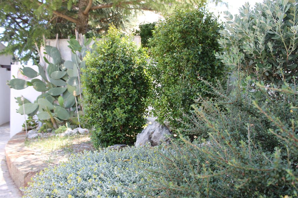 Albachiara Bed & Breakfast Monopoli Εξωτερικό φωτογραφία