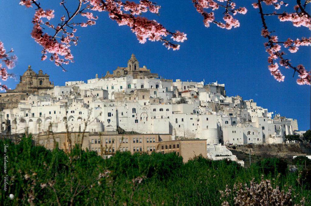 Albachiara Bed & Breakfast Monopoli Εξωτερικό φωτογραφία