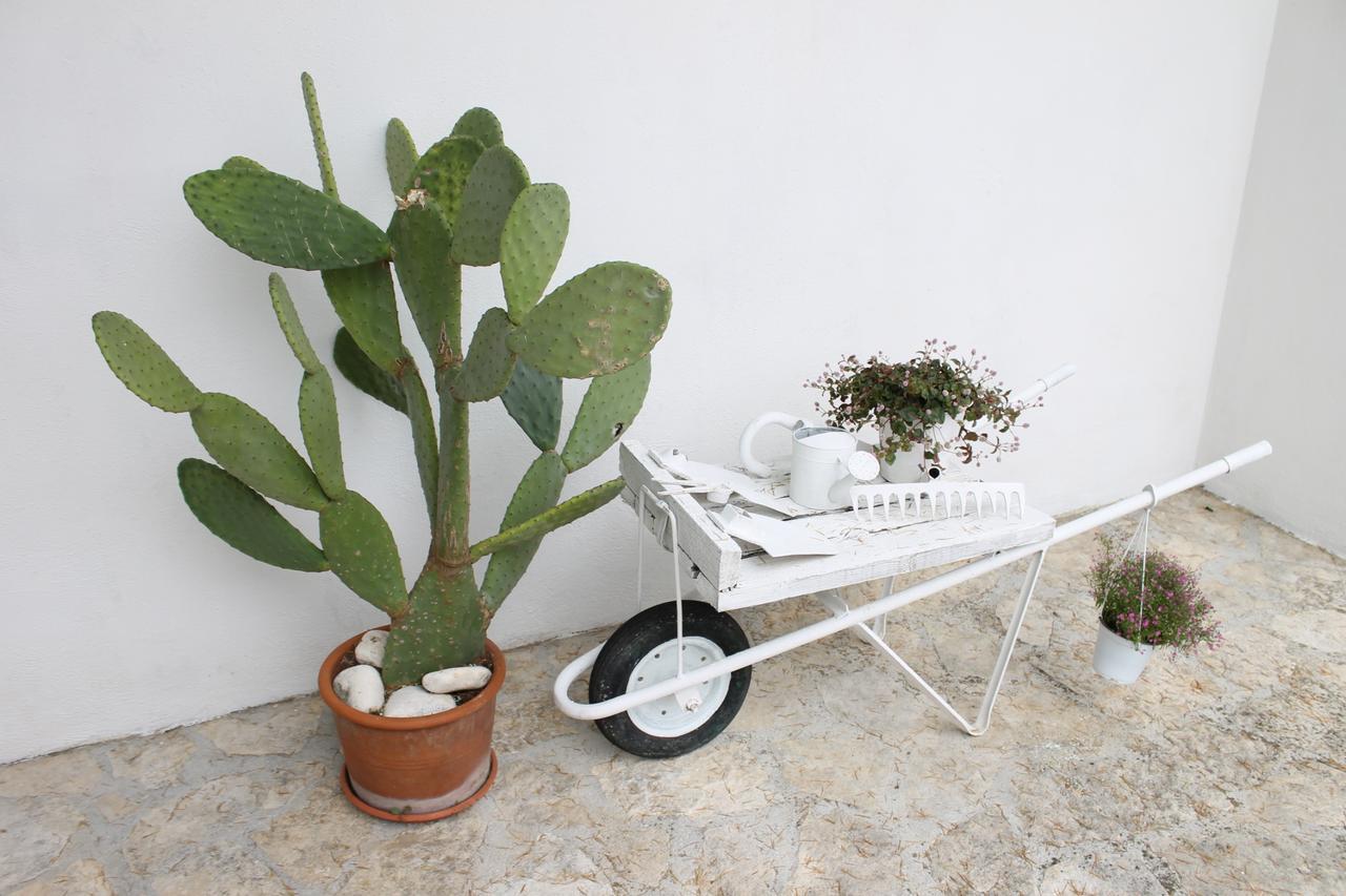 Albachiara Bed & Breakfast Monopoli Εξωτερικό φωτογραφία